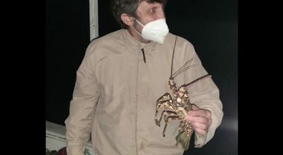  Procurador Leandro Mitidieri segura uma lagosta encontrada em rede de pesca - Divulgação/MPF