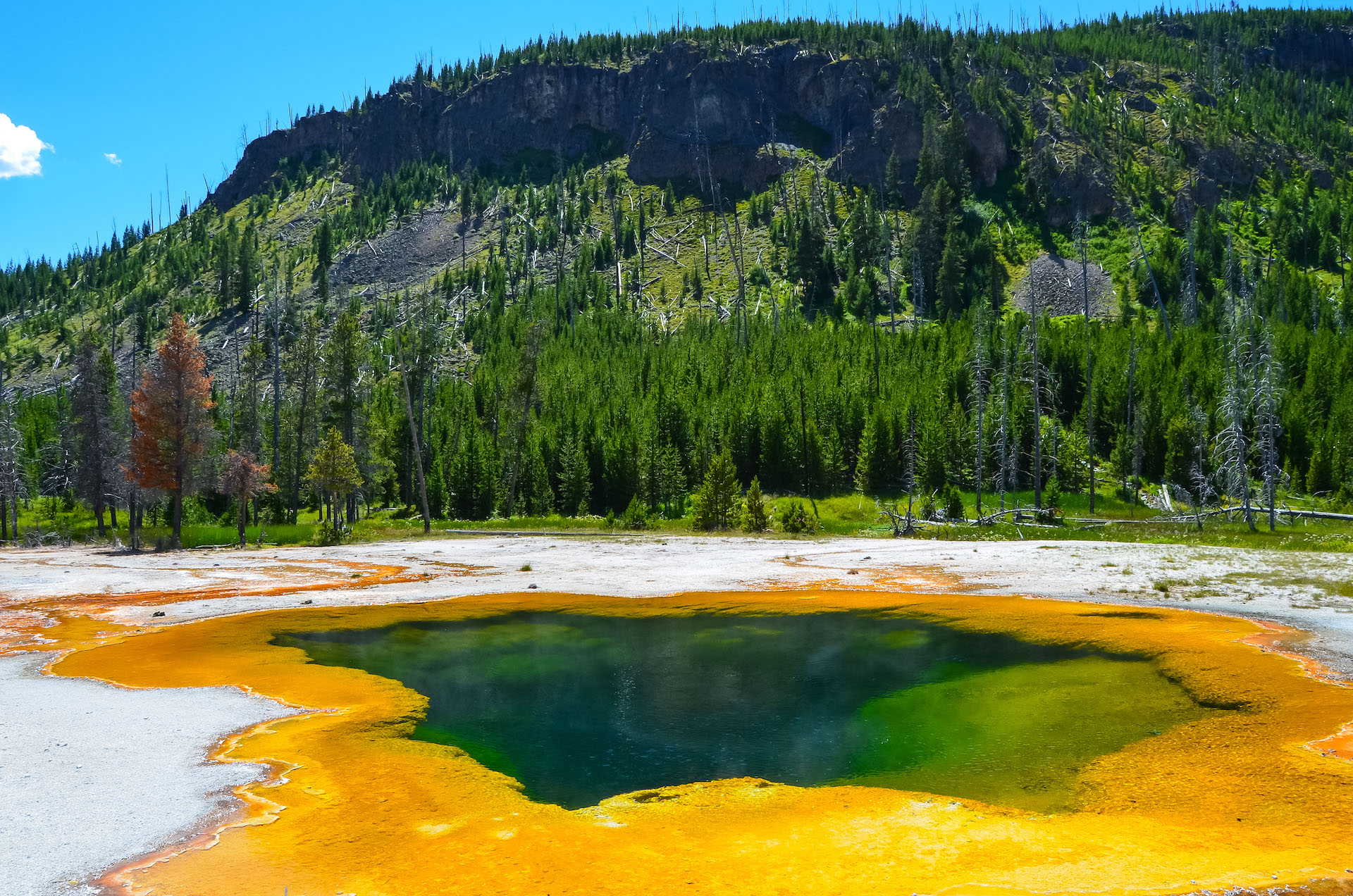 O parque Yellowstone, com um milhão de hectares de florestas densas, espalhadas principalmente em Wyoming, é repleto em fenômenos naturais exóticos. A maior fonte quente do parque é a Grand Prismatic/