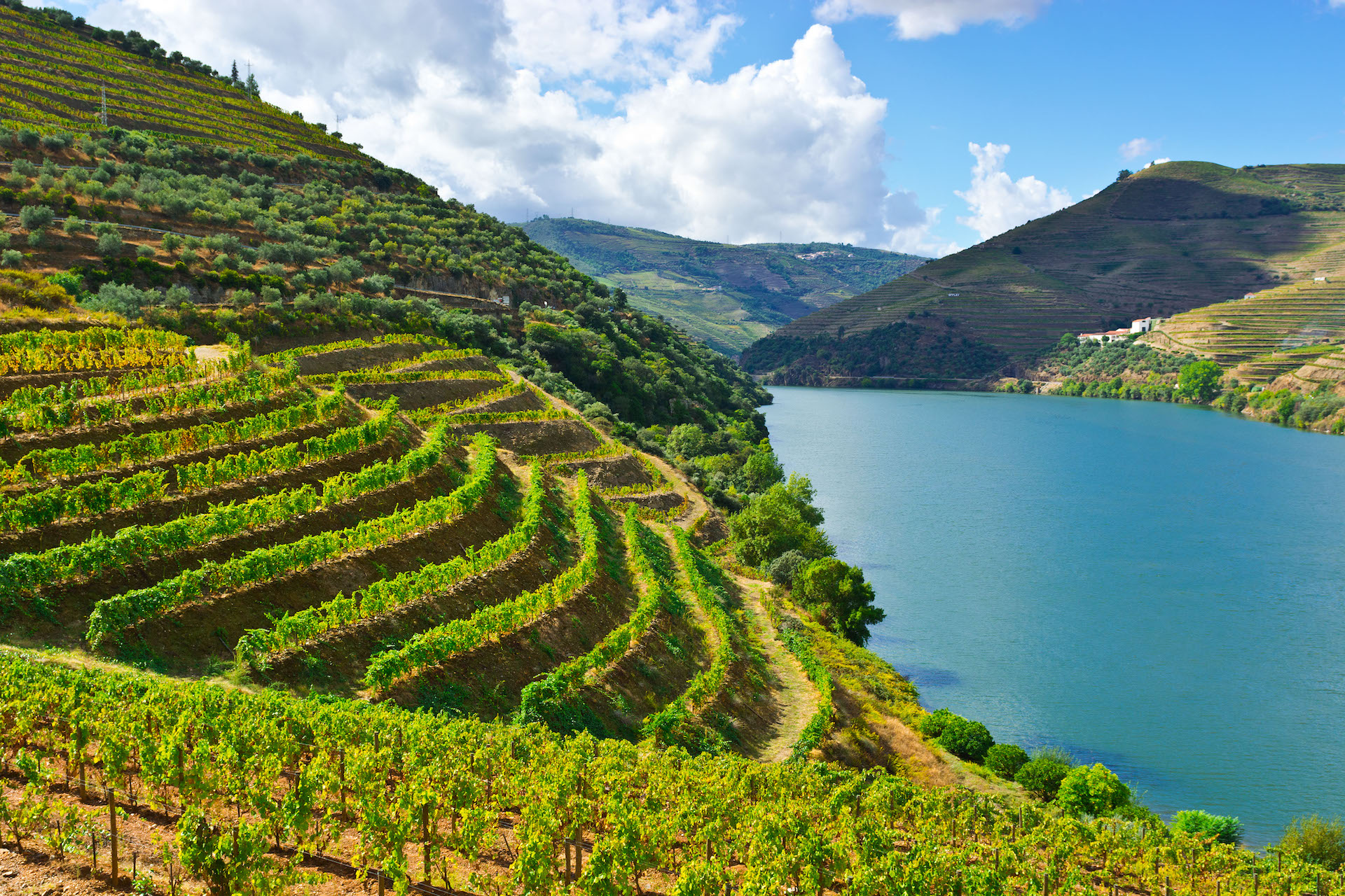Os turistas ficam encantados com a paisagem do vale do Douro, onde o homem construiu plataformas para plantar vinhas nas encostas/GB Imagem