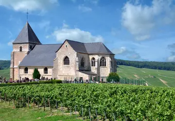 As charmosas cidades de Reims e Épernay estão interligadas pela pitoresca Estrada Turística de Champagne, repleta de encantadores vilarejos cercados por campos de videiras / GB Imagem